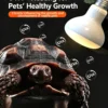 4 Core Selling Points of Reptile Night Lamp (1)_副本-compressed UVA Spotlight Heating Lamp | 25-100w/110v