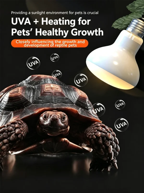 4 Core Selling Points of Reptile Night Lamp (1)_副本-compressed UVA Spotlight Heating Lamp | 25-100w/110v