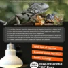 4 Core Selling Points of Reptile Night Lamp (2)_副本-compressed UVA Spotlight Heating Lamp | 25-100w/110v