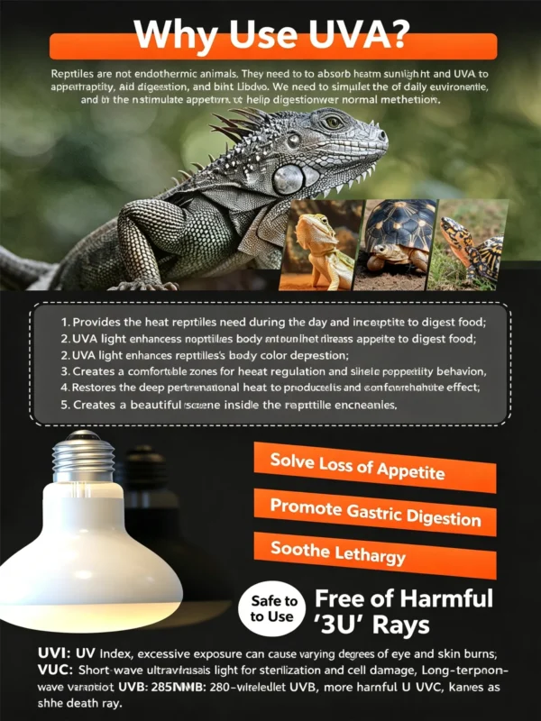 4 Core Selling Points of Reptile Night Lamp (2)_副本-compressed UVA Spotlight Heating Lamp | 25-100w/110v