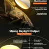 4 Core Selling Points of Reptile Night Lamp (3)_副本-compressed UVA Spotlight Heating Lamp | 25-100w/110v
