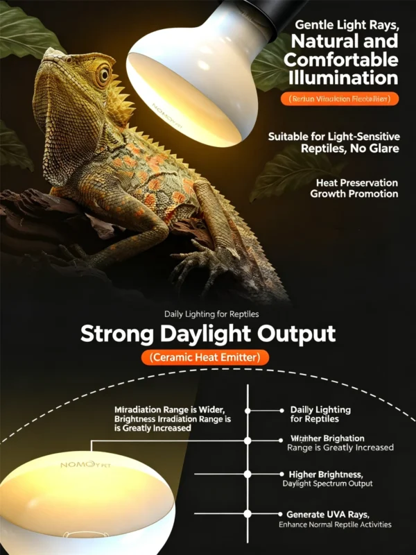 4 Core Selling Points of Reptile Night Lamp (3)_副本-compressed UVA Spotlight Heating Lamp | 25-100w/110v