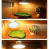4 Core Selling Points of Reptile Night Lamp (4)_副本-compressed UVA Spotlight Heating Lamp | 25-100w/110v