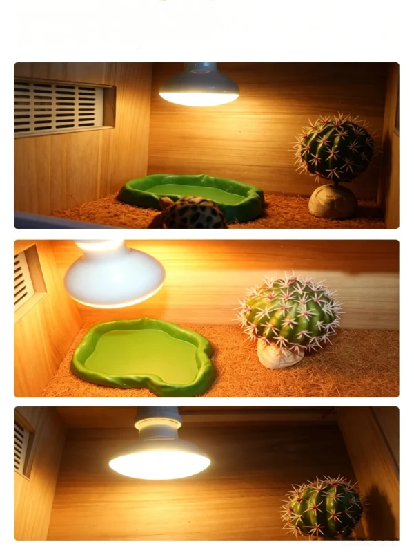 4 Core Selling Points of Reptile Night Lamp (4)_副本-compressed UVA Spotlight Heating Lamp | 25-100w/110v