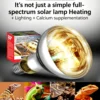 UVA/UVB full spectrum lamp | 80-100w/110V-220v
