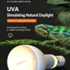 4 Core Selling Points of Reptile Night Lamp_副本-compressed UVA Spotlight Heating Lamp | 25-100w/110v