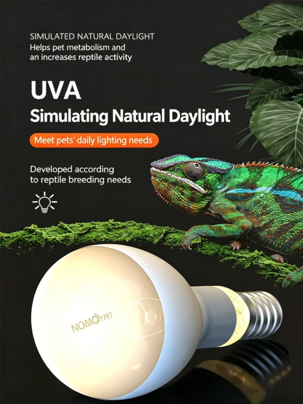 4 Core Selling Points of Reptile Night Lamp_副本-compressed UVA Spotlight Heating Lamp | 25-100w/110v