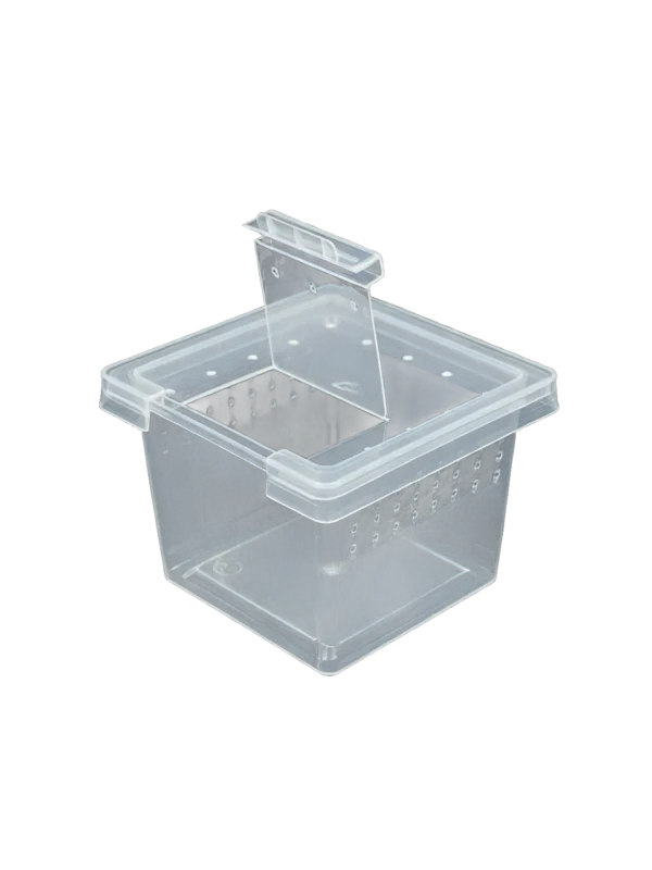 Small Reptile Transparent Ventilated Breeding Box