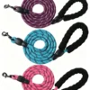 Nylon Braided Explosion-Proof Dog Leash – 59″/78.7″/118″