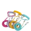 Small to Medium Dog Leash – Healing Color Series, 59″ Long