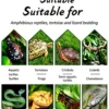 All-Natural Reptile Bedding