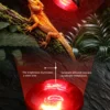 Infrared UVA Heating Lamp | 25-100w/110-220v