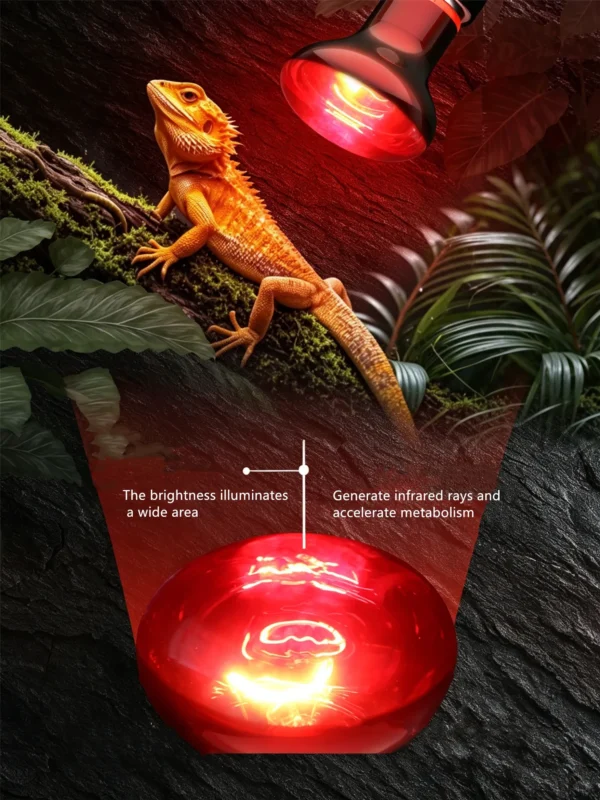 Infrared UVA Heating Lamp | 25-100w/110-220v