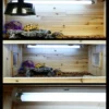 Reptile LED Daylight Tube | 15w/5.0-10.0