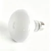 UVA Spotlight Heating Lamp | 25-100w/110v