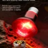 Infrared UVA Heating Lamp | 25-100w/110-220v