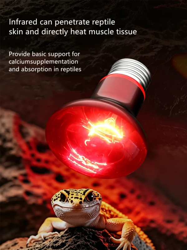 Infrared UVA Heating Lamp | 25-100w/110-220v