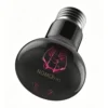 修改图片尺寸与背景 (10)_副本-compressed UVA Heating Moonlight Lamp | 25-100w