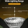 修改图片尺寸与背景 (10)_副本-compressed UVB3.0 Heating Lamp | 25-50w/110-220v