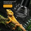 Ceramic Heating Lamp | 20-100w