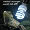修改图片尺寸与背景 (5)_副本-compressed UVB ultraviolet lamp | 5.0-10.0/220v