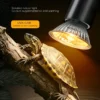 修改图片尺寸与背景 (9)_副本-compressed UVB3.0 Heating Lamp | 25-50w/110-220v