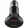 修改图片尺寸与背景 (9)_副本-compressed UVA Heating Moonlight Lamp | 25-100w