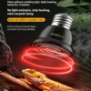 Ceramic Heating Lamp | 20-100w