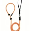 Explosion-Proof Dog Training Leash – Heavy-Duty, 59″