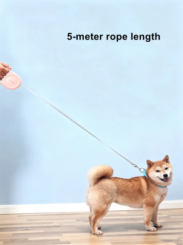 Auto Retractable Pet Leash for Dogs – 196.8″