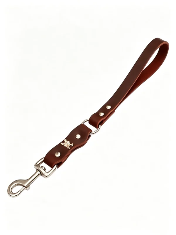图片信息 (1)_副本-compressed Natural Leather Shock-Absorbing Dog Leash – 16″/20″