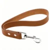 图片信息 (1)_副本-compressed Genuine Leather Pet Leash – 11.8″