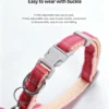 Bow Bell Collar for Small Cats and Dogs – Cute & Adjustable