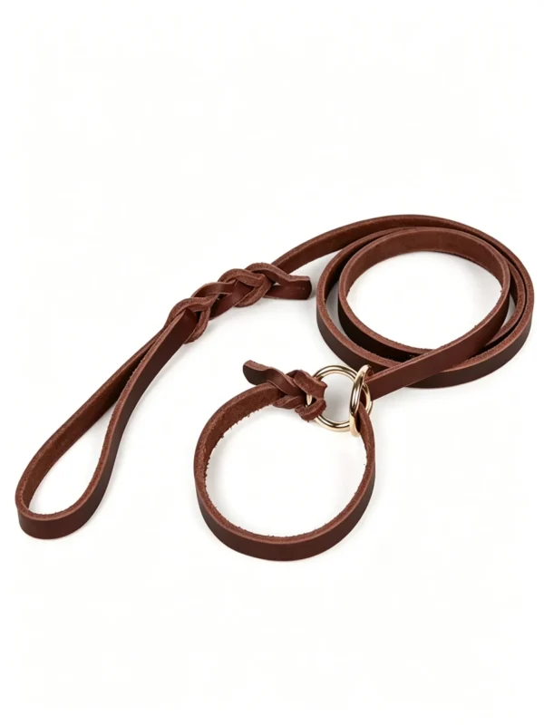 图片信息 (2)_副本-compressed Dog leather leash, soft, strong, and durable, 70″