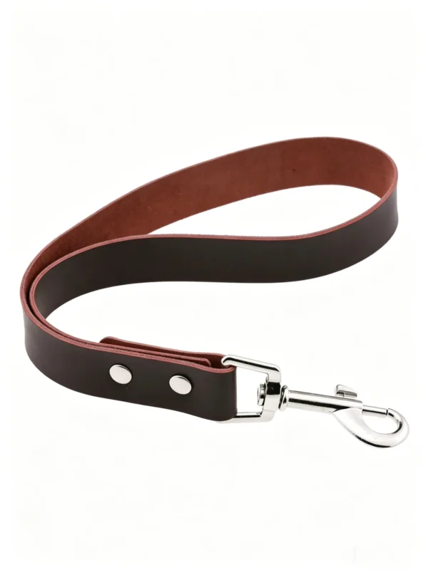 图片信息 (2)_副本-compressed Genuine Leather Pet Leash – 11.8″