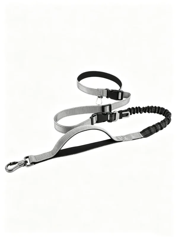 Heavy-Duty Adjustable Dog Leash – Anti-Pull, 55–76.7″