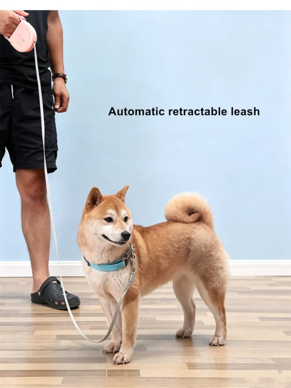 Auto Retractable Pet Leash for Dogs – 196.8″