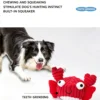 Squeaky Plush Puppy Chew Toy – Teething & Sound