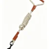 Heavy-Duty Nylon Reflective Dog Leash – Explosion-Proof, 59″