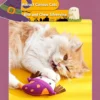 图片信息 (5)_副本-compressed Catnip Halloween Candy Toy – Trick-or-Treat for Interactive Play