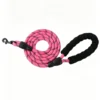 Nylon Braided Explosion-Proof Dog Leash – 59″/78.7″/118″