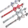 Bow Bell Collar for Small Cats and Dogs – Cute & Adjustable
