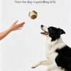图片信息 (6)_副本-compressed Treat Dispensing Dog Toy Ball – Interactive Fun for Boredom Relief