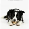 图片信息 (7)_副本-compressed Treat Dispensing Dog Toy Ball – Interactive Fun for Boredom Relief