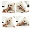 Realistic Dog Bone Chew Toy – Durable & Long-Lasting