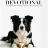 图片信息 (8)_副本-compressed Treat Dispensing Dog Toy Ball – Interactive Fun for Boredom Relief