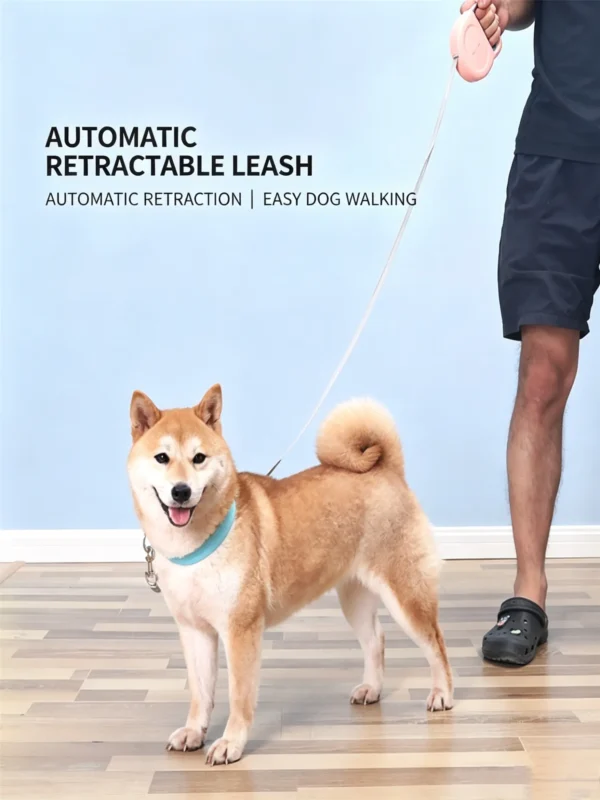 Auto Retractable Pet Leash for Dogs – 196.8″
