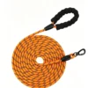 Reflective Anti-Pull Dog Leash – Heavy-Duty Nylon, 59–118″