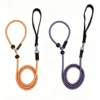 Explosion-Proof Dog Training Leash – Heavy-Duty, 59″