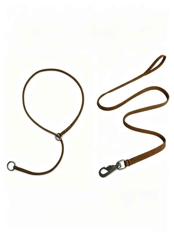 Dog Training Correction Leash Set (including Collar) 43″